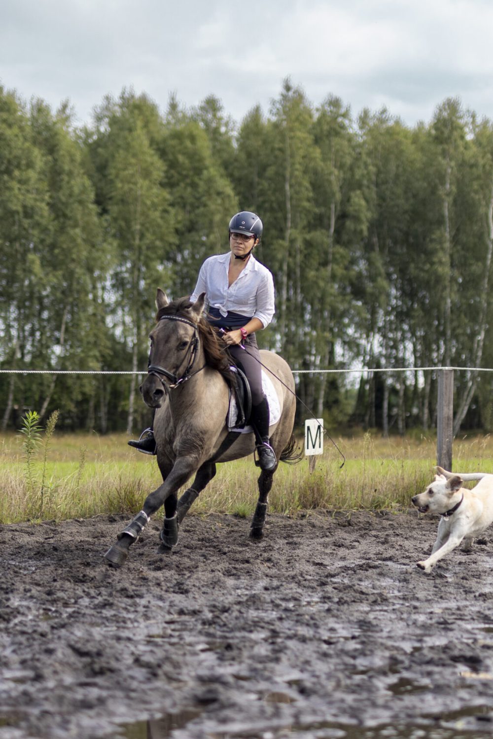 2023_09_03_10_30_IMG_7003