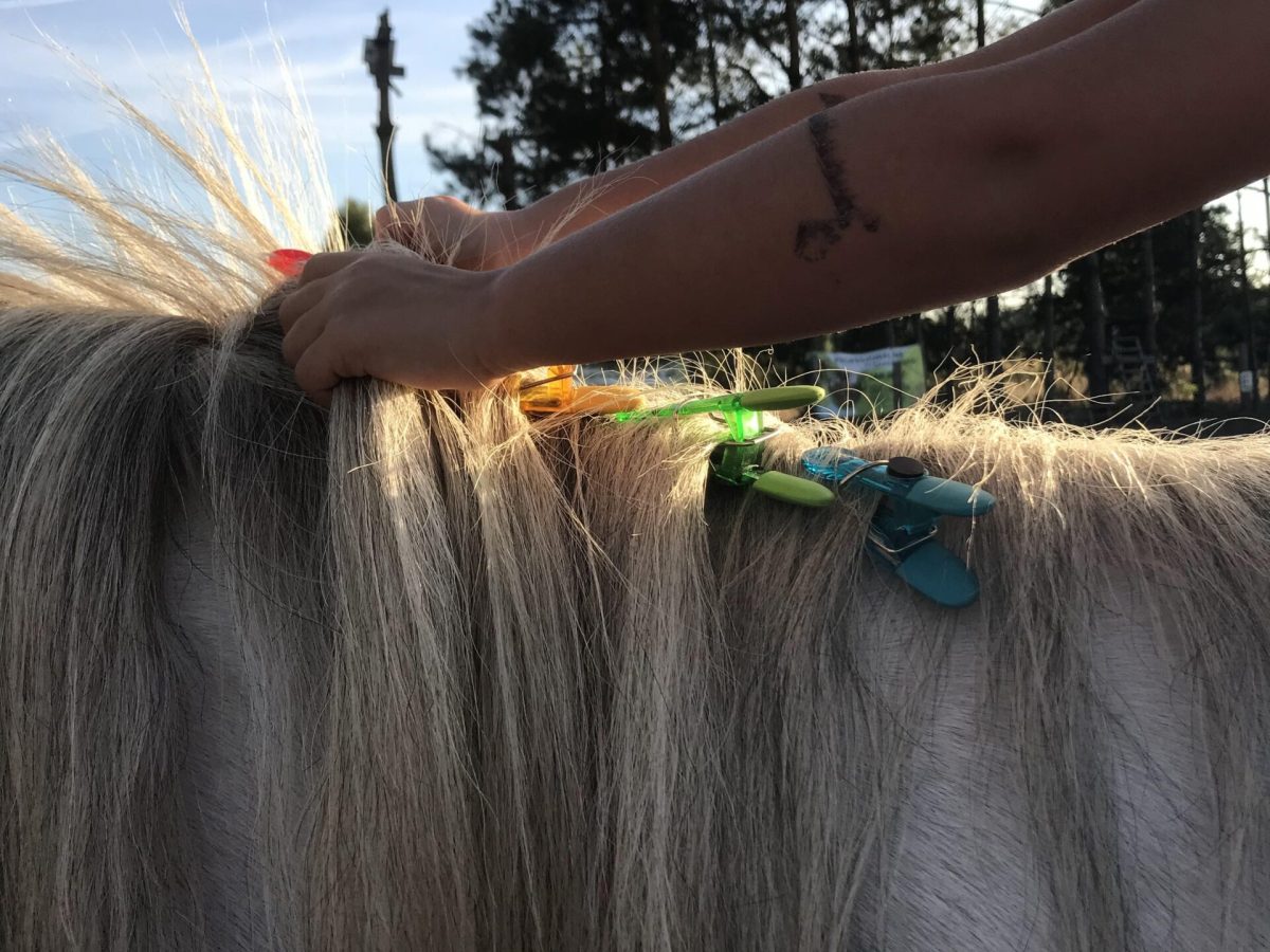 2023_09_20_17_38_IMG_7051